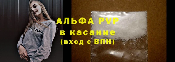 дурь Богданович