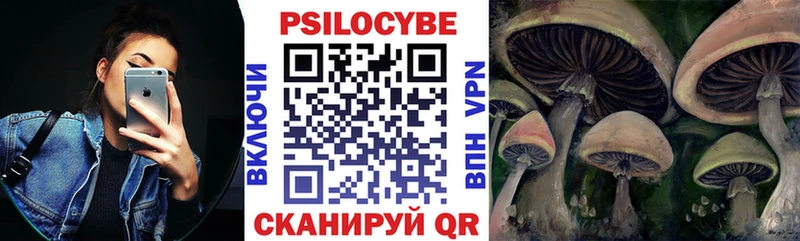 Галлюциногенные грибы Magic Shrooms  Купить закладки  Салехард 